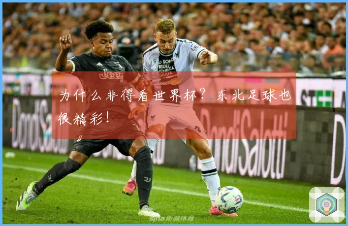 为什么非得看世界杯？东北足球也很精彩！