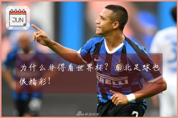 为什么非得看世界杯?东北足球也很精彩!
